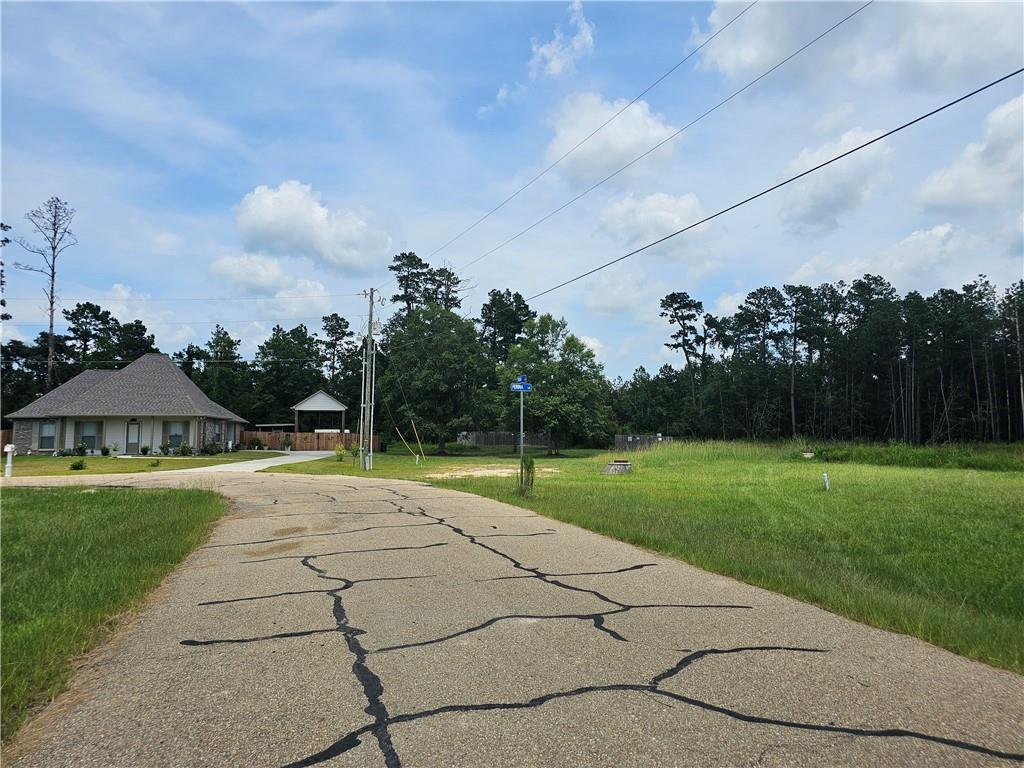 31618 Ferina Lane, Albany, Louisiana image 6