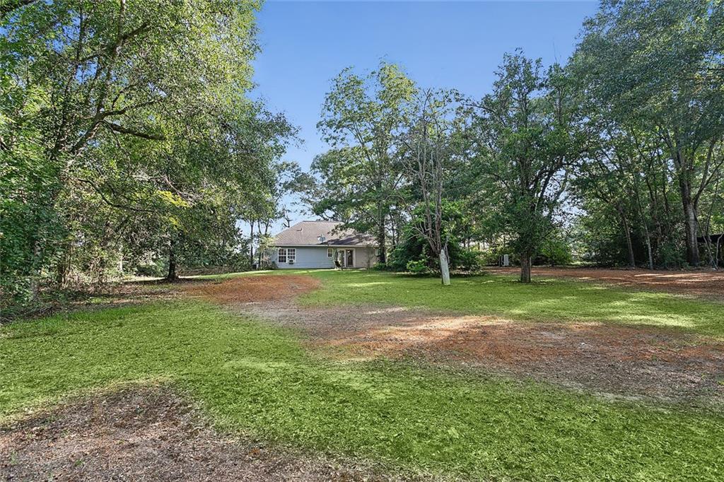 55843 445 Highway, Loranger, Louisiana image 13