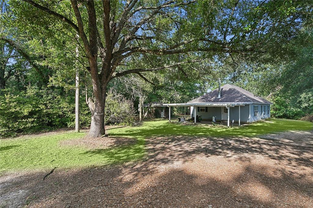 55843 445 Highway, Loranger, Louisiana image 16