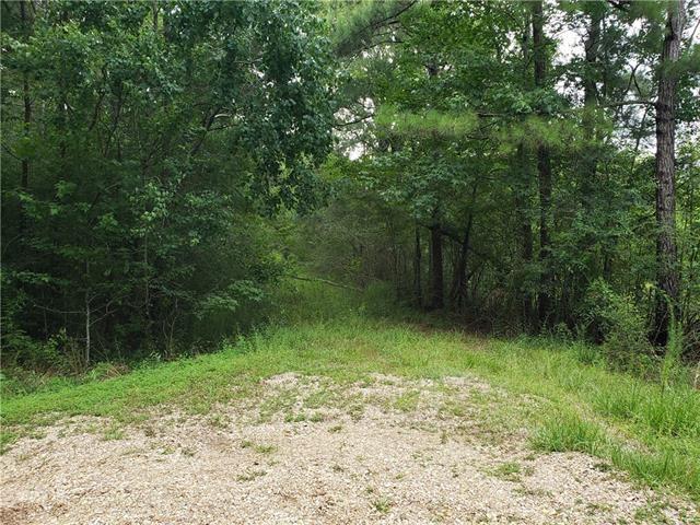 Gonthier Road, Tangipahoa, Louisiana image 3