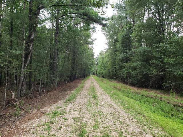 Gonthier Road, Tangipahoa, Louisiana image 4