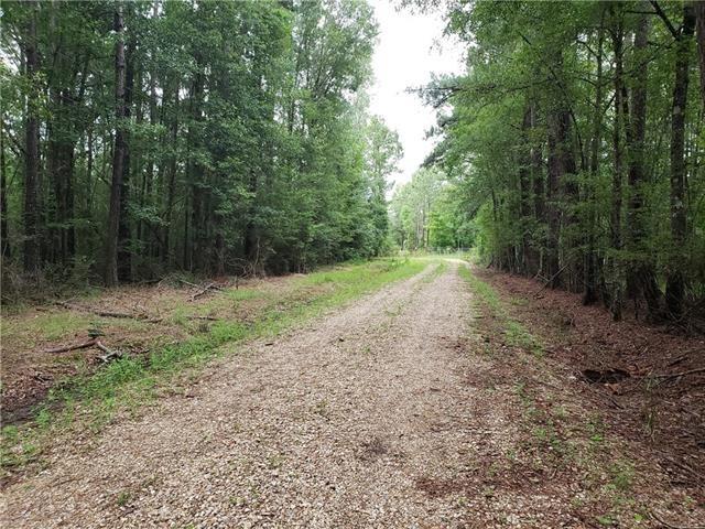 Gonthier Road, Tangipahoa, Louisiana image 5