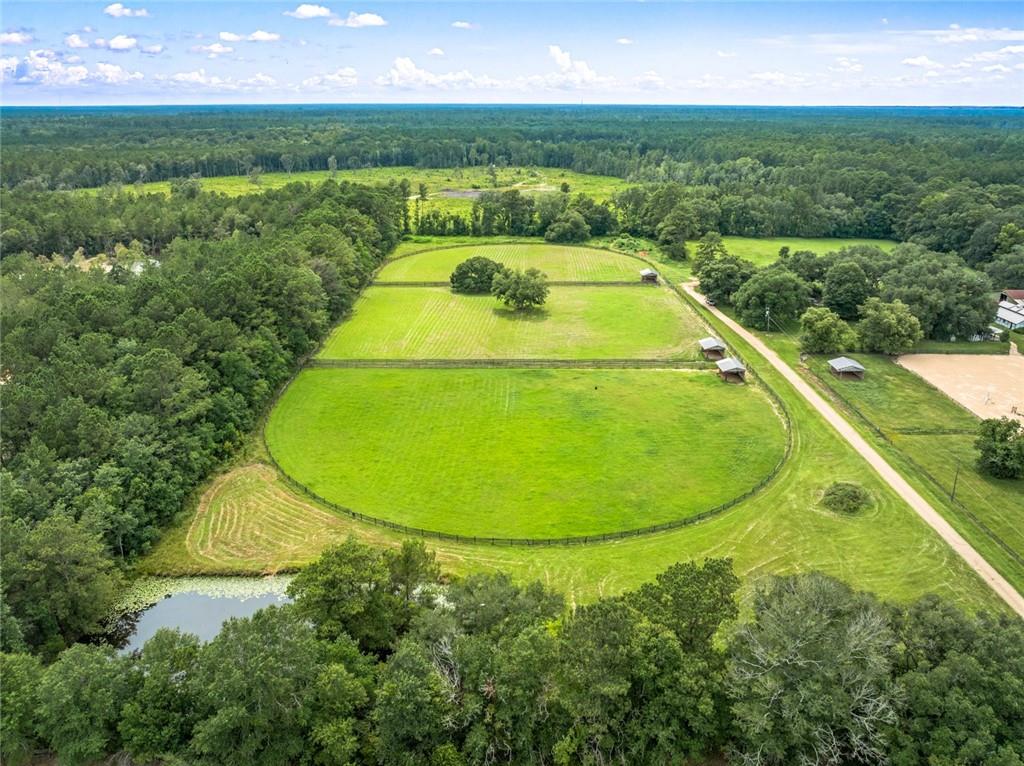 Dewberry Road, Covington, Louisiana image 1