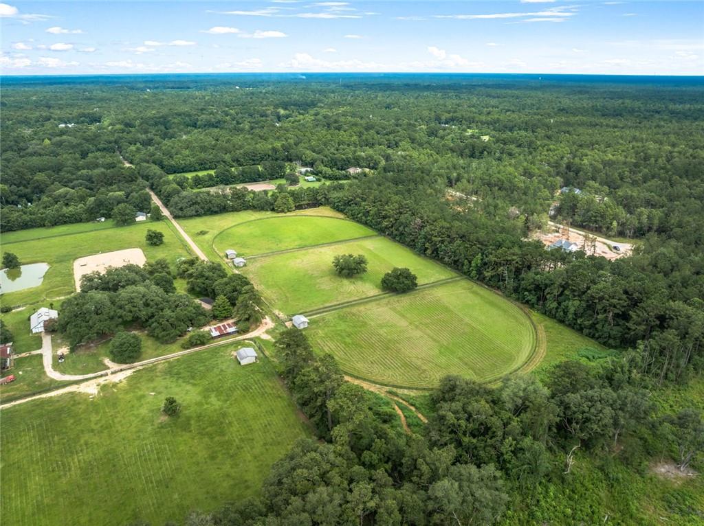 Dewberry Road, Covington, Louisiana image 7