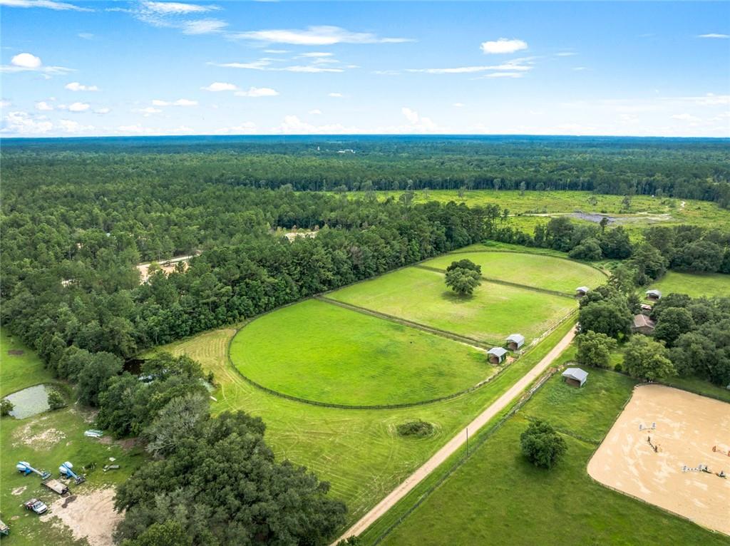 Dewberry Road, Covington, Louisiana image 9