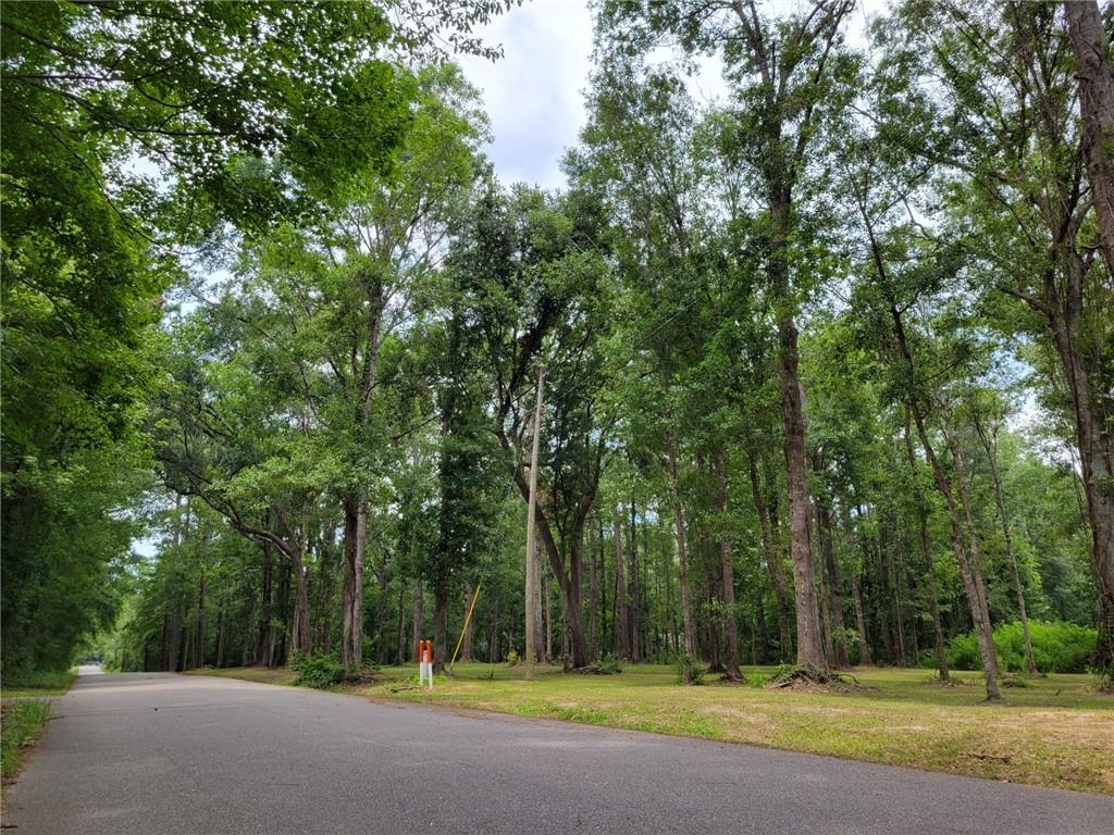 Milton Craddock Road, Pearl River, Louisiana image 2