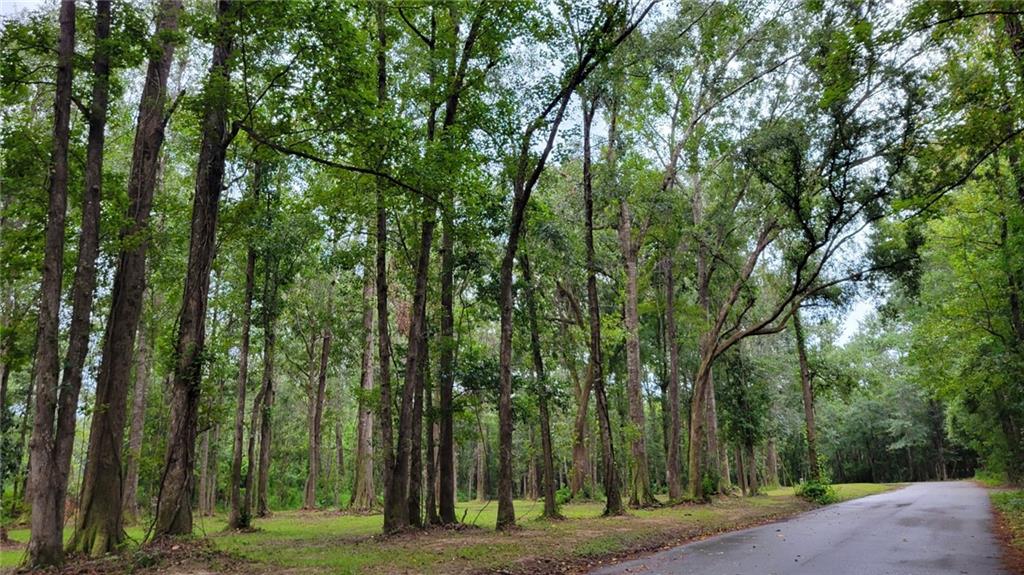 Milton Craddock Road, Pearl River, Louisiana image 4