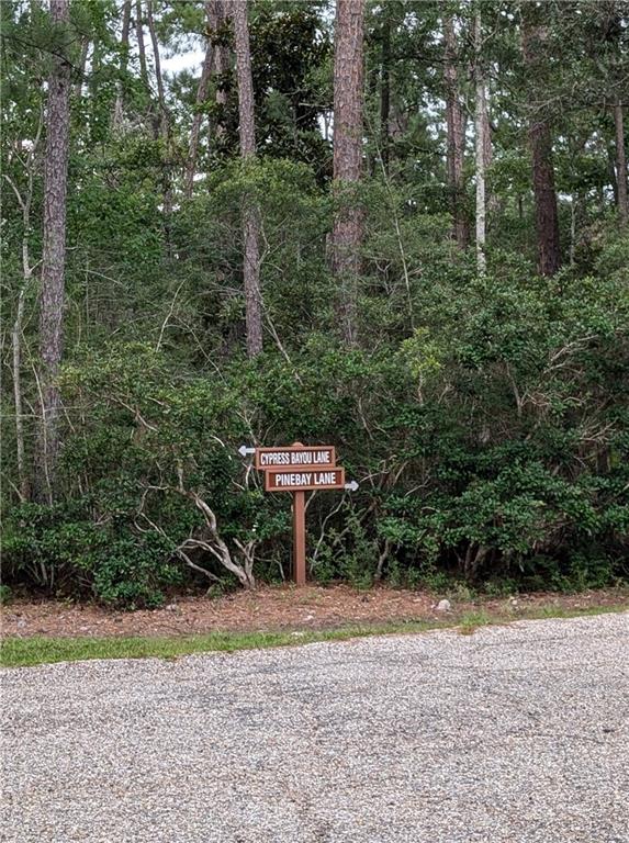 Lot 66 Cypress Bayou Lane, Lacombe, Louisiana image 8