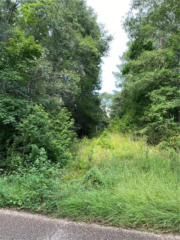 Sie Jenkins Road, Bogalusa, Louisiana image 2