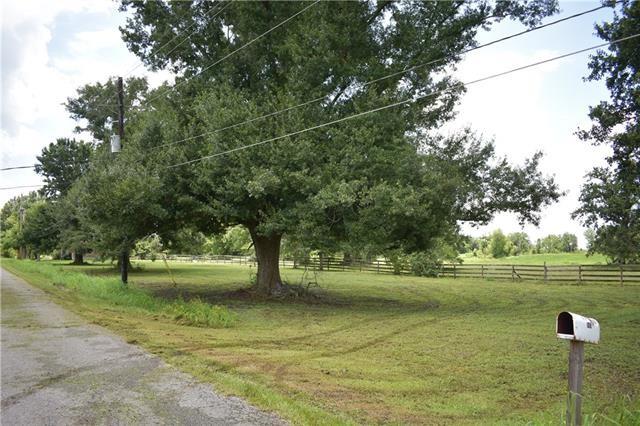 LOT 1 Twin Oaks Drive, Raceland, Louisiana image 1