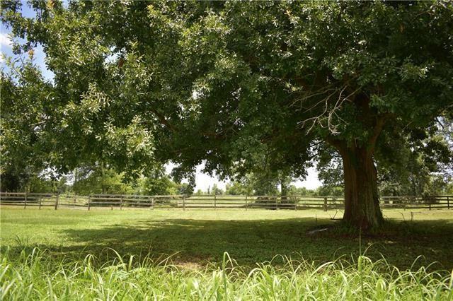 LOT 1 Twin Oaks Drive, Raceland, Louisiana image 4