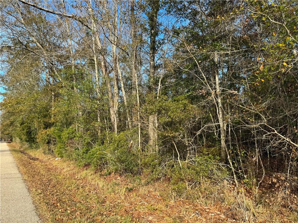 Crawford Road, Pearl River, Louisiana image 1