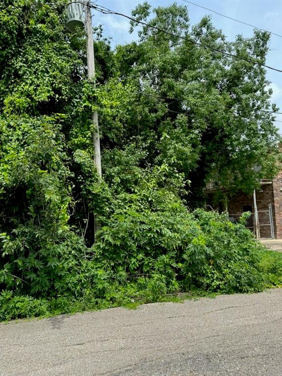 815 Edison Avenue, Harvey, Louisiana image 8