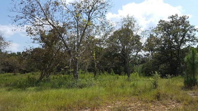 Bob Simpson Road, Poplarville, Mississippi image 3