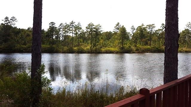 Bob Simpson Road, Poplarville, Mississippi image 6