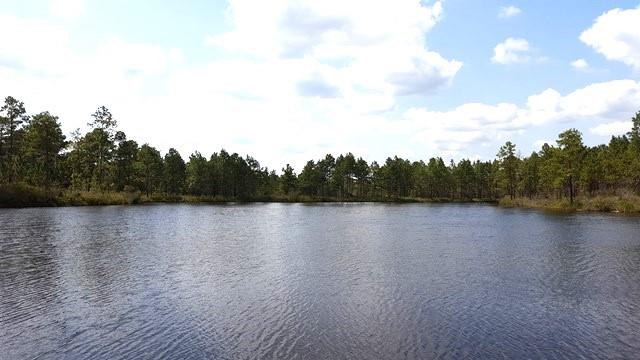 Bob Simpson Road, Poplarville, Mississippi image 7