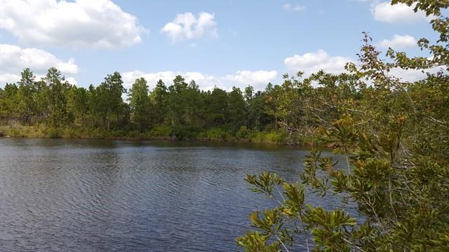 Bob Simpson Road, Poplarville, Mississippi image 8