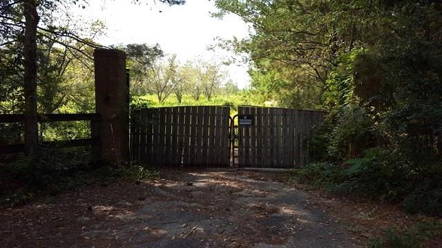 Bob Simpson Road, Poplarville, Mississippi image 9