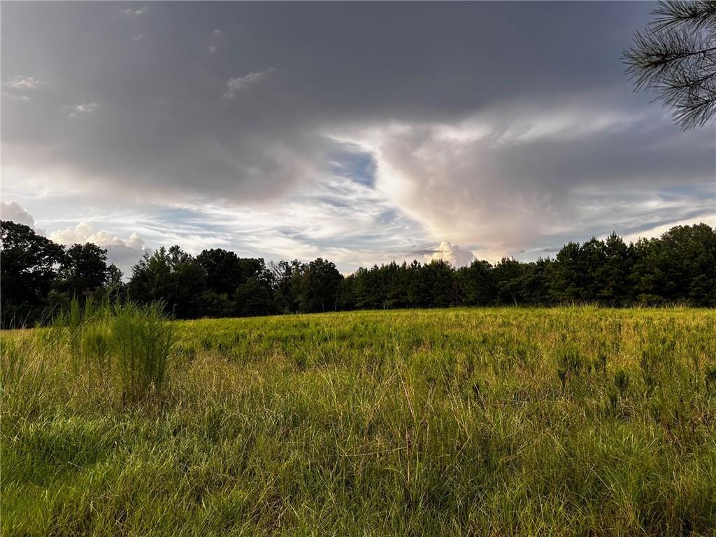 John Jones Road, Franklinton, Louisiana image 6