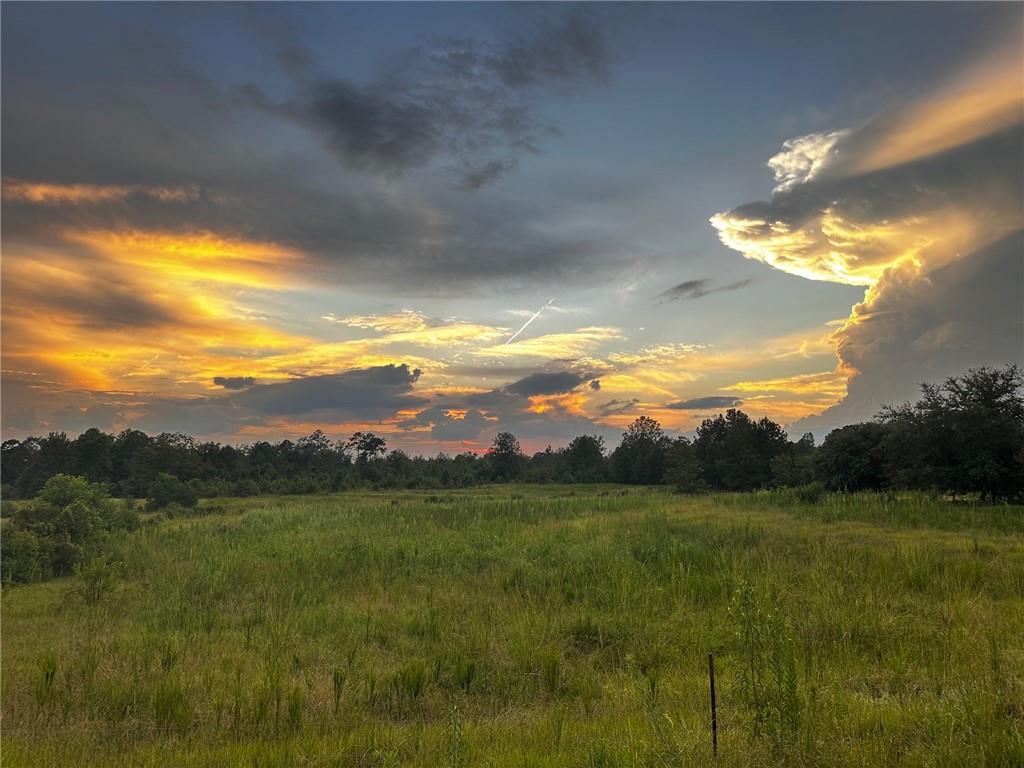 John Jones Road, Franklinton, Louisiana image 8