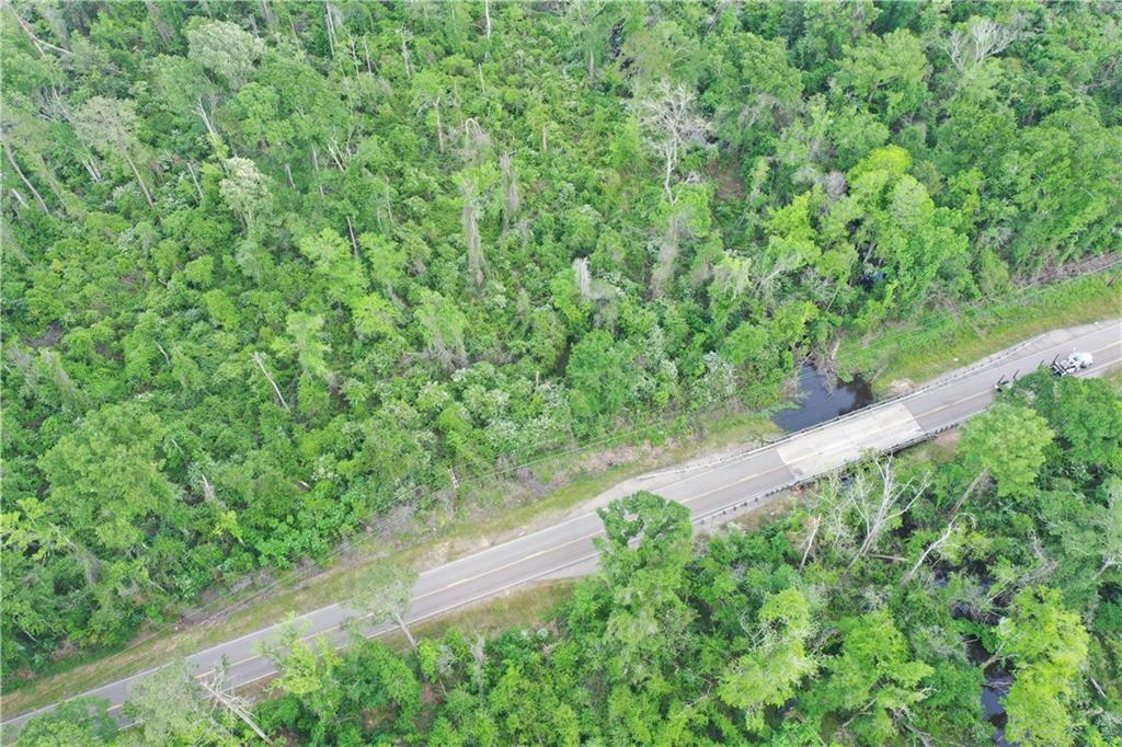 La. 16 Highway, Amite, Louisiana image 7