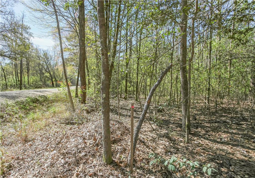 Lot 23 Trap Street, Abita Springs, Louisiana image 4