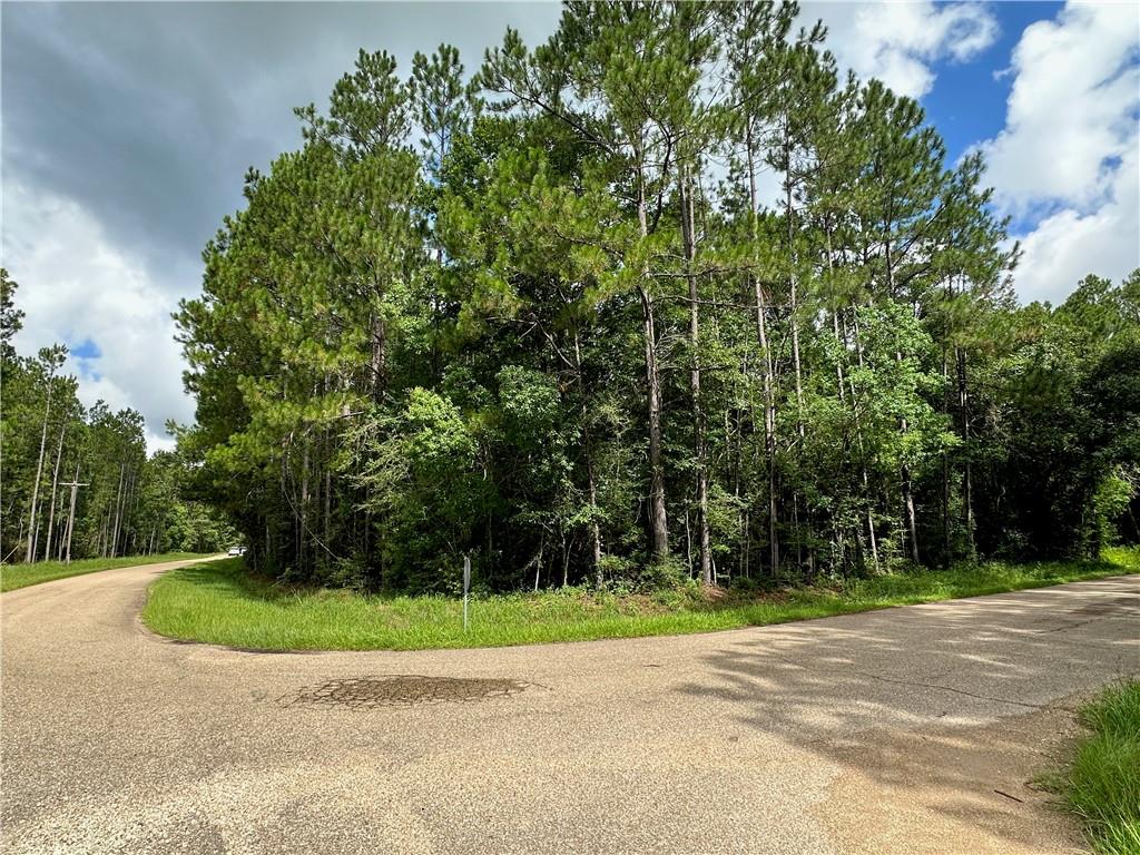 Lot 98 Quimet Drive, Abita Springs, Louisiana image 4