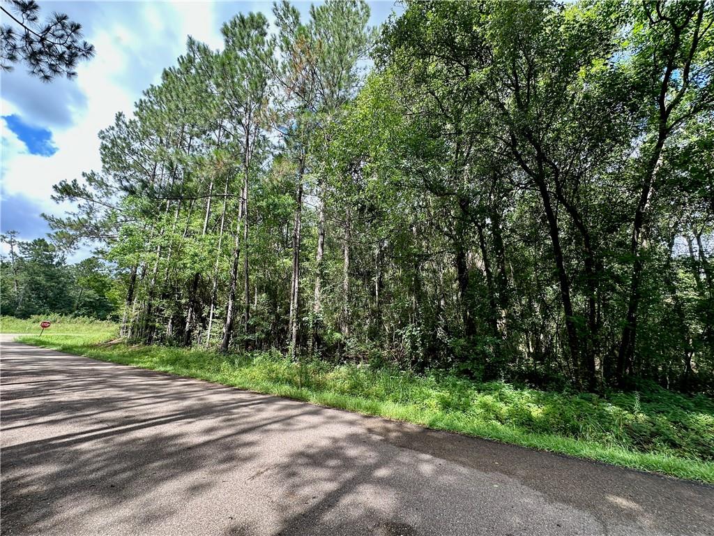 Lot 98 Quimet Drive, Abita Springs, Louisiana image 5