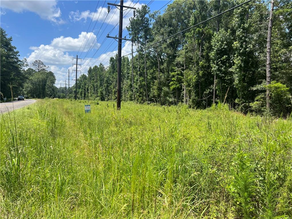 La Hwy-63 Highway, Clinton, Louisiana image 2