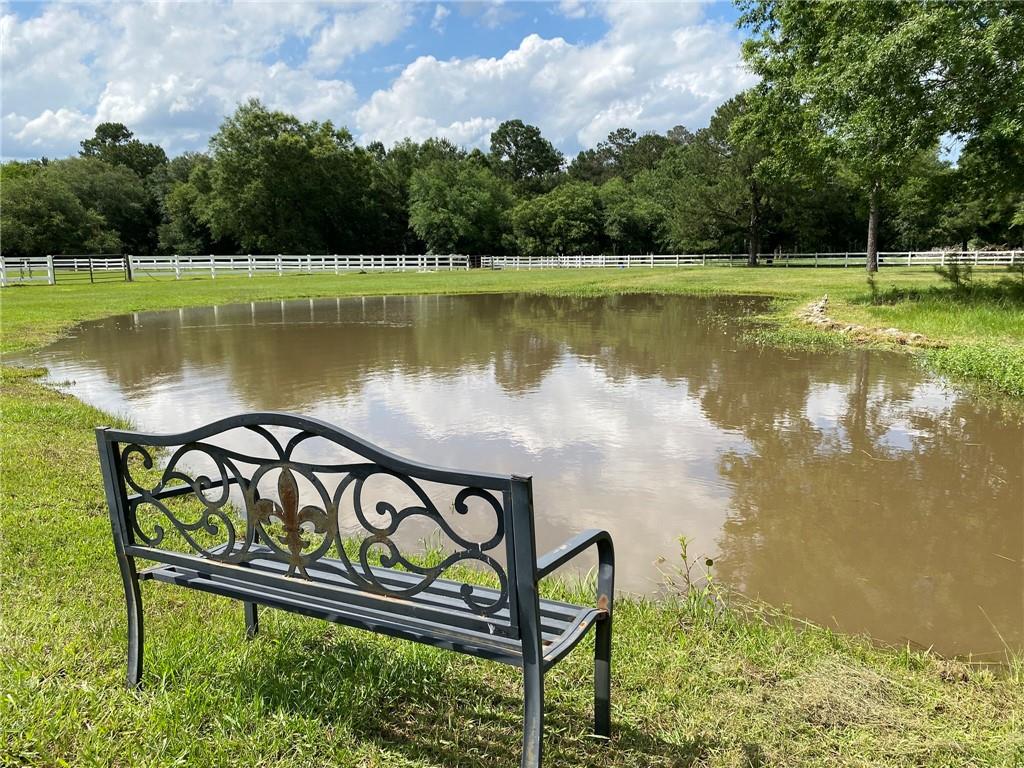 12461 Stanga Road, Covington, Louisiana image 10