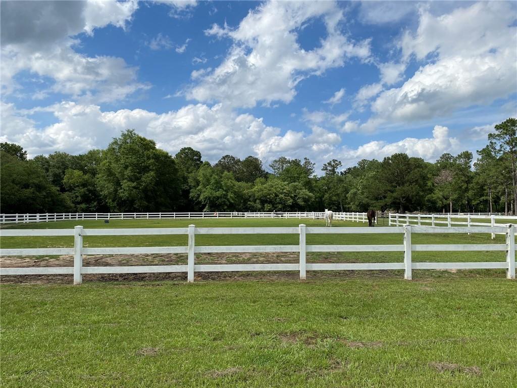 12461 Stanga Road, Covington, Louisiana image 6