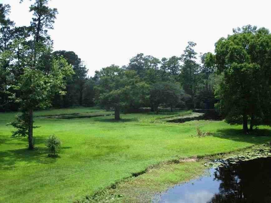 29372 Paquet Road, Lacombe, Louisiana image 4