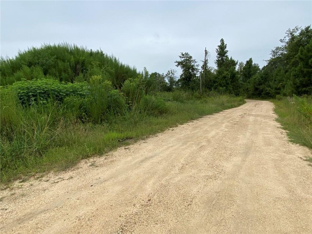 51.46 Ac Highway 60 Highway, Franklinton, Louisiana image 23