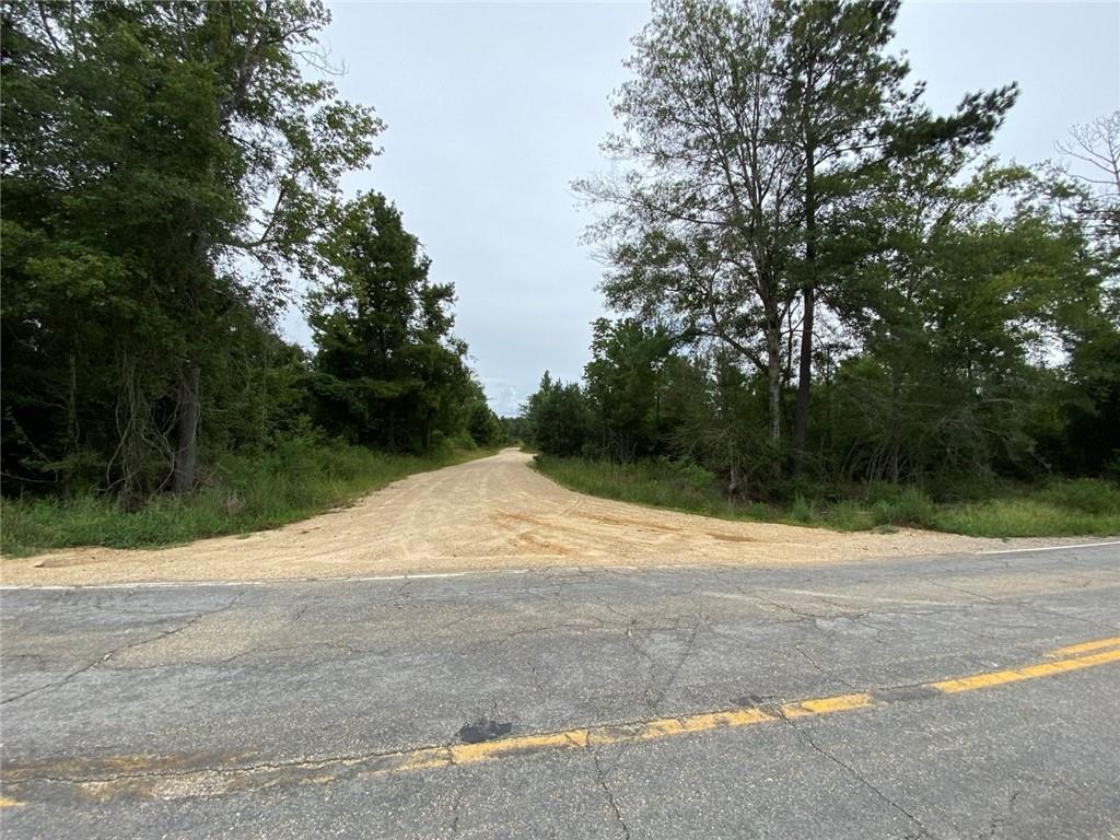 51.46 Ac Highway 60 Highway, Franklinton, Louisiana image 25