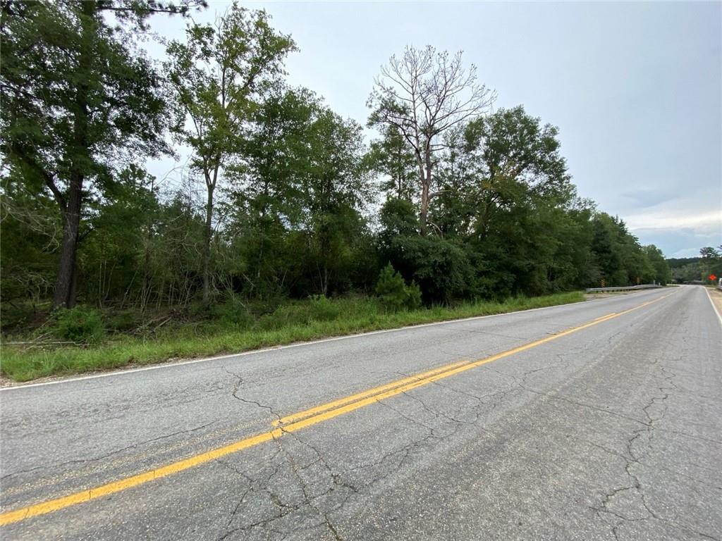 51.46 Ac Highway 60 Highway, Franklinton, Louisiana image 26