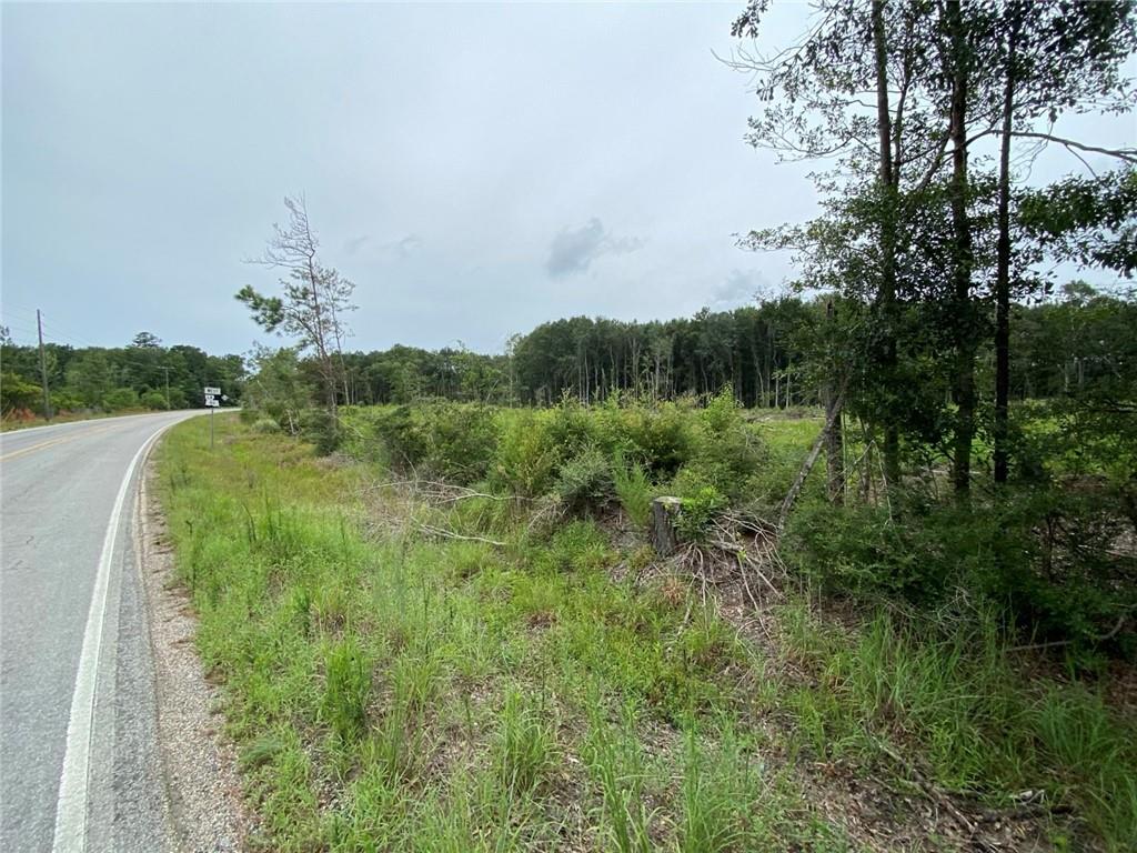 51.46 Ac Highway 60 Highway, Franklinton, Louisiana image 27