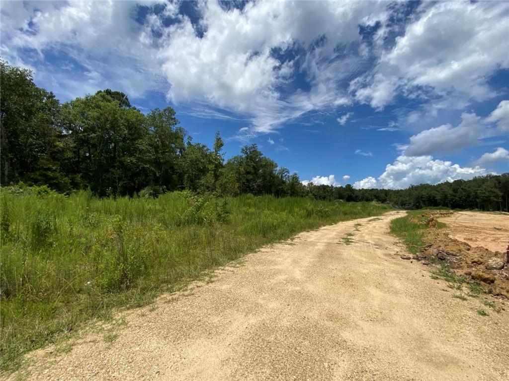 51.46 Ac Highway 60 Highway, Franklinton, Louisiana image 8