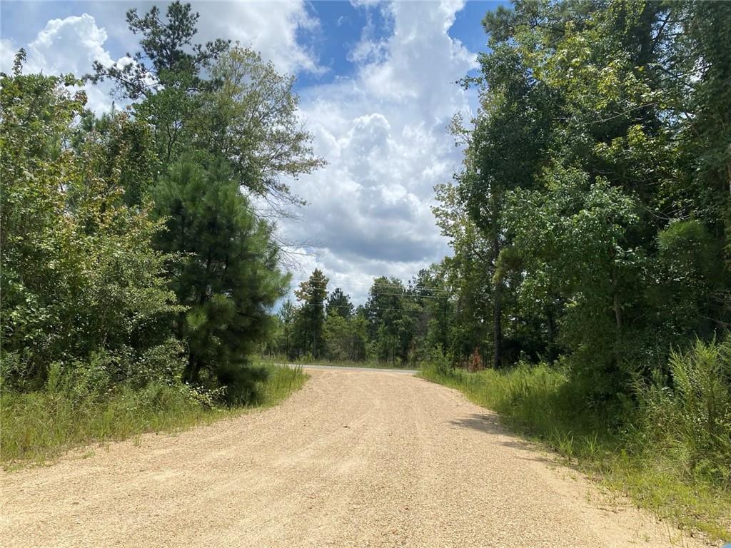 51.46 Ac Highway 60 Highway, Franklinton, Louisiana image 9