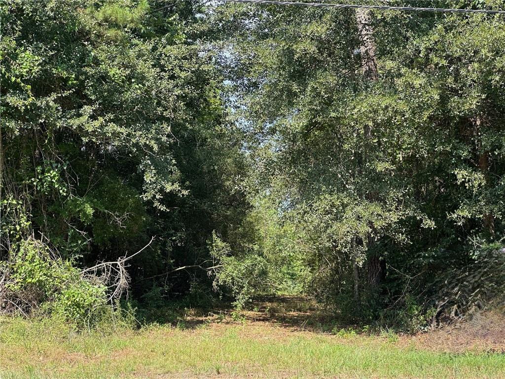 Highway 40 Highway, Bush, Louisiana image 6