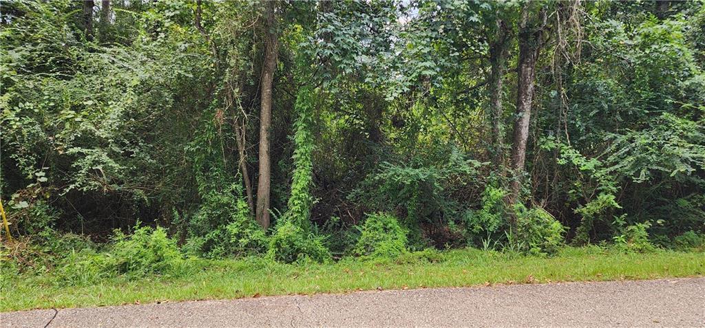 33 Ponchitolawa Drive, Covington, Louisiana image 4