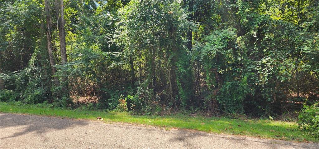 33 Ponchitolawa Drive, Covington, Louisiana image 6
