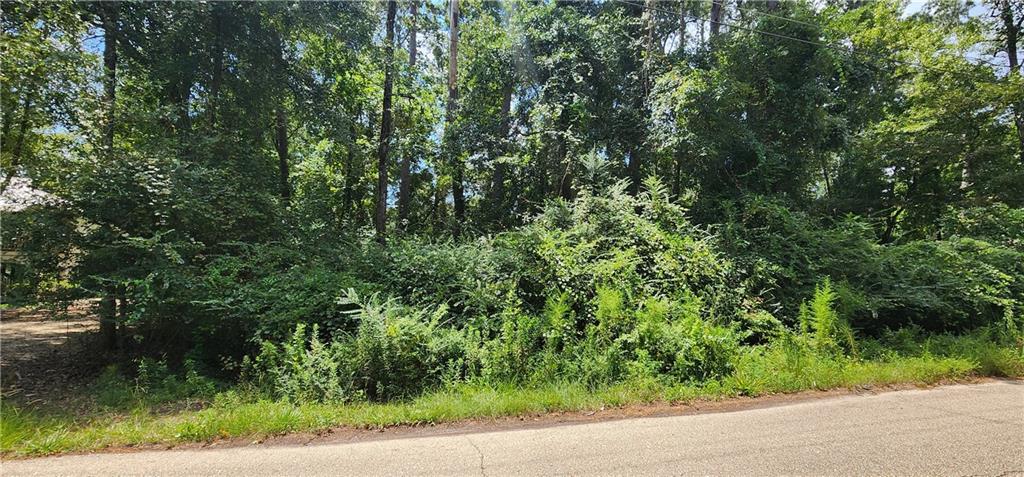 32 Ponchitolawa Drive, Covington, Louisiana image 1