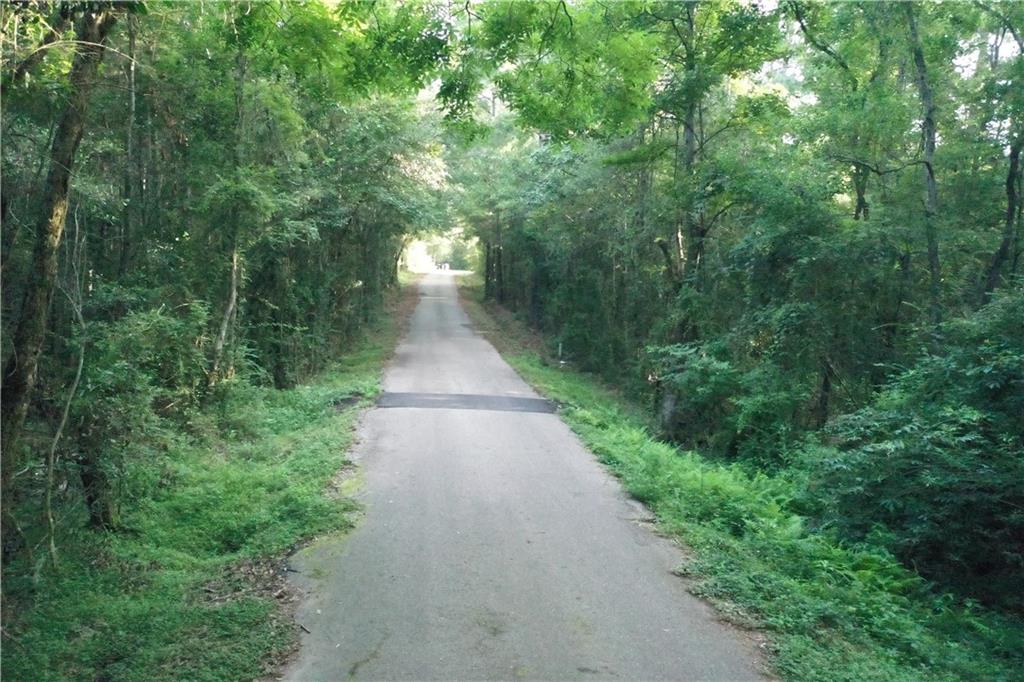 Richardson Hill Road, Folsom, Louisiana image 11