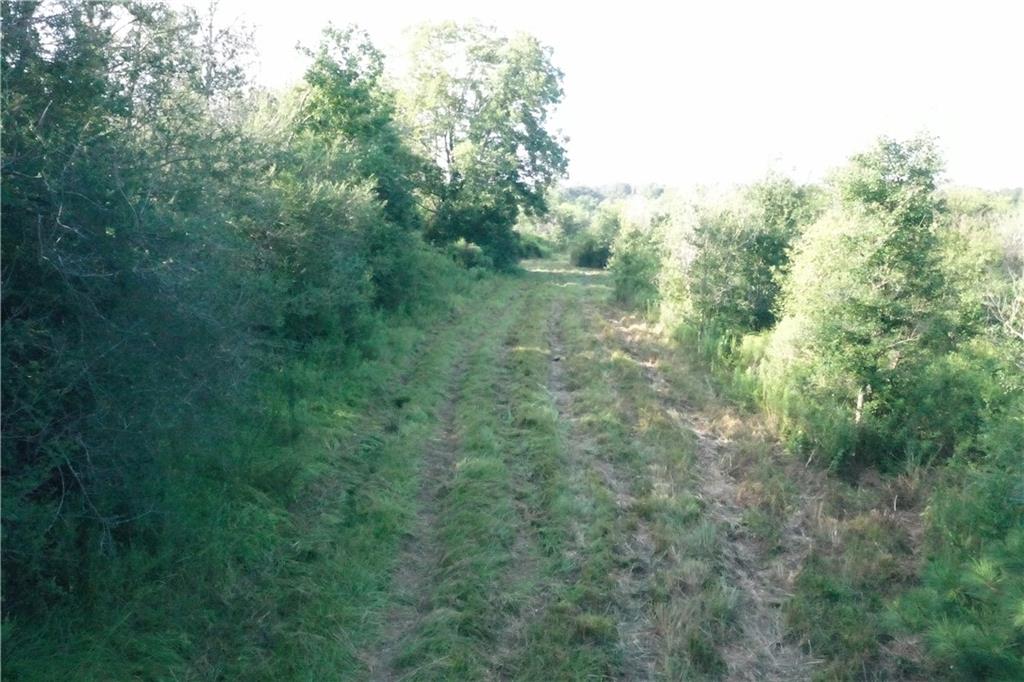 Richardson Hill Road, Folsom, Louisiana image 14