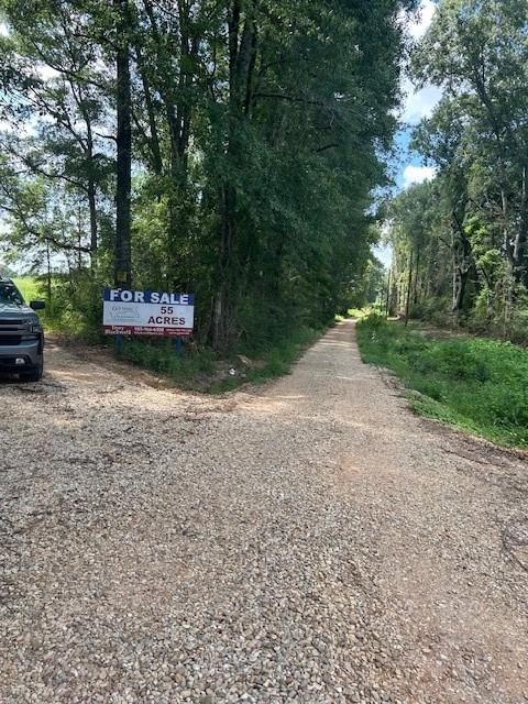 Othaney Simmons Rd (pr 196) Road, Franklinton, Louisiana image 2