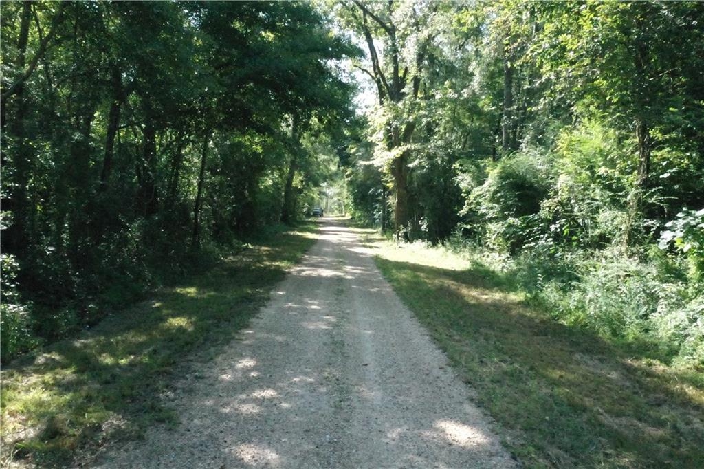 Bob Magee Road, Franklinton, Louisiana image 1