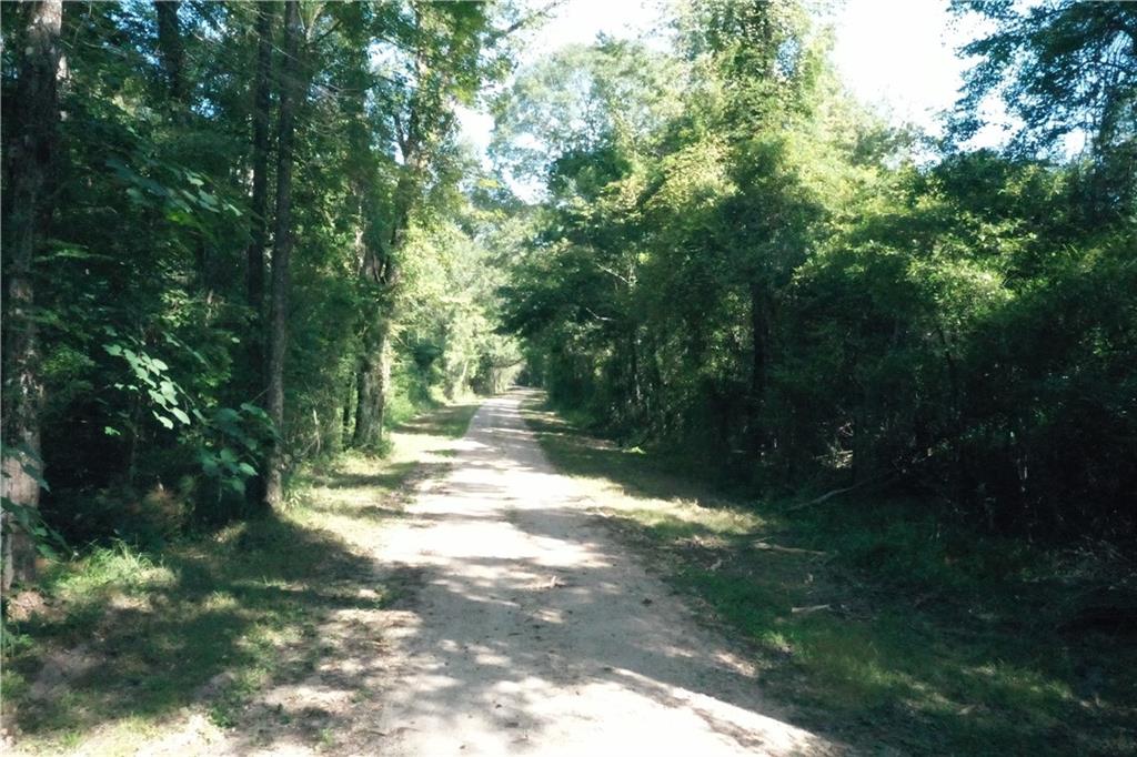 Bob Magee Road, Franklinton, Louisiana image 10