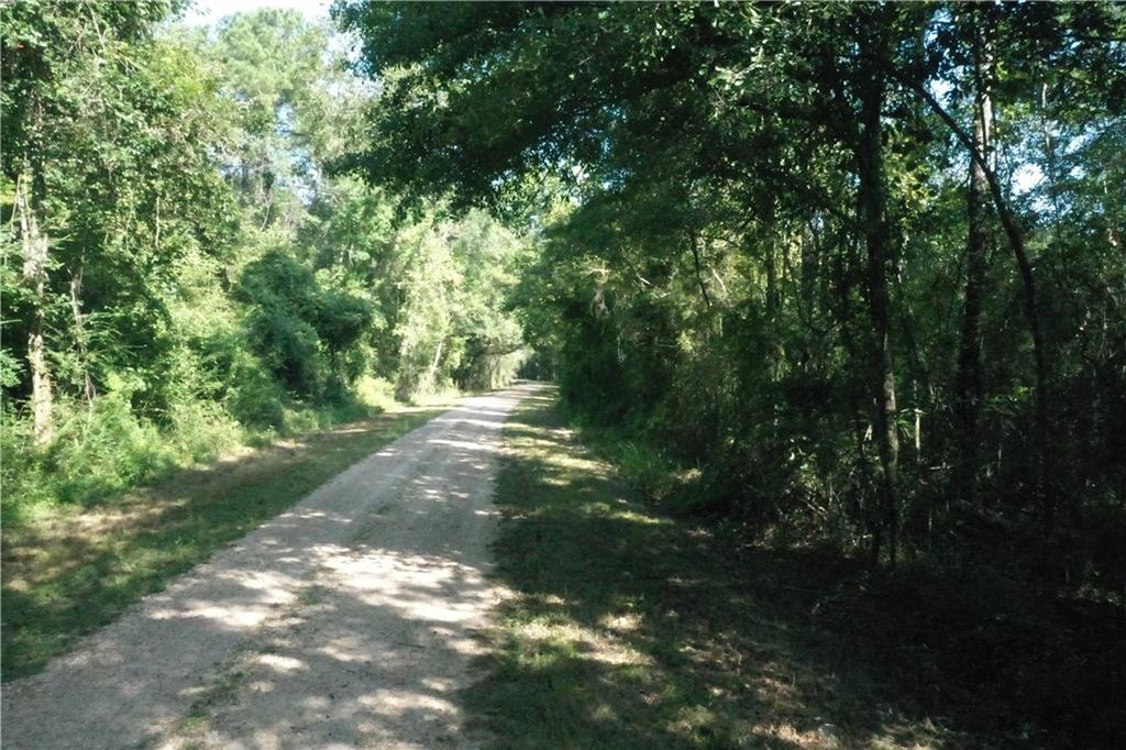 Bob Magee Road, Franklinton, Louisiana image 11