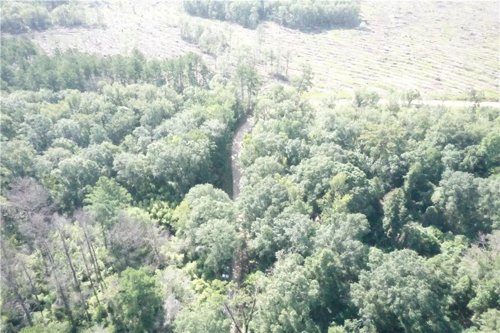 Bob Magee Road, Franklinton, Louisiana image 12