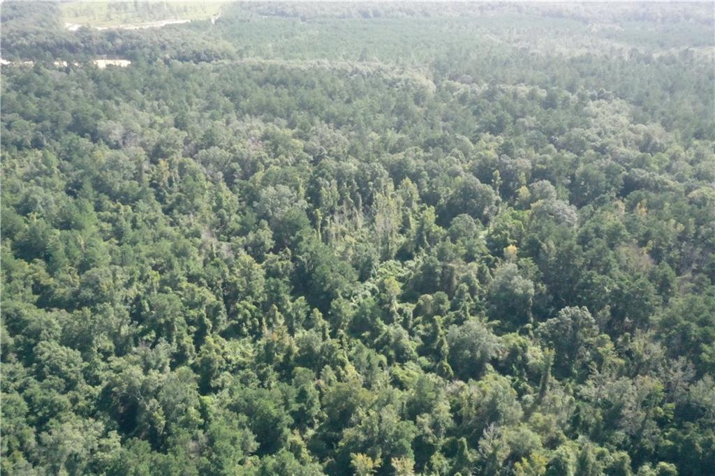 Bob Magee Road, Franklinton, Louisiana image 13